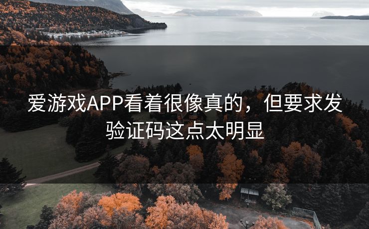 爱游戏APP看着很像真的，但要求发验证码这点太明显