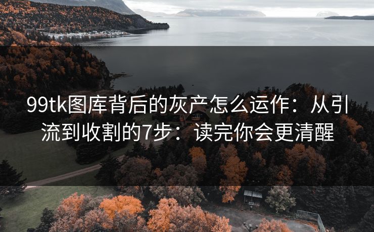 99tk图库背后的灰产怎么运作：从引流到收割的7步：读完你会更清醒